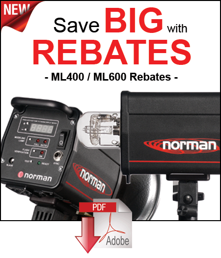 Portable Battery Rebates